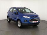 Ford EcoSport bei Sportwagen.expert - Abbildung (7 / 15)