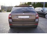 Skoda Octavia bei Sportwagen.expert - Abbildung (4 / 15)