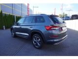 Skoda Kodiaq bei Sportwagen.expert - Abbildung (3 / 15)