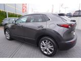 Mazda CX-30 bei Sportwagen.expert - Abbildung (3 / 15)