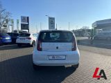 Skoda Citigo bei Sportwagen.expert - Abbildung (6 / 15)