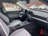 Seat Leon bei Sportwagen.expert - Abbildung (10 / 15)