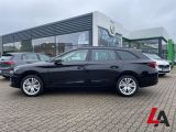 Seat Leon bei Sportwagen.expert - Abbildung (5 / 15)