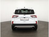 Ford Kuga bei Sportwagen.expert - Abbildung (4 / 15)