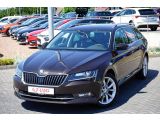 Skoda Superb bei Sportwagen.expert - Abbildung (2 / 15)