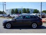 Skoda Superb bei Sportwagen.expert - Abbildung (4 / 15)