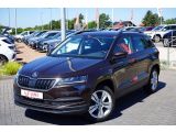 Skoda Karoq bei Sportwagen.expert - Abbildung (2 / 15)