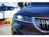 Skoda Karoq bei Sportwagen.expert - Abbildung (4 / 15)