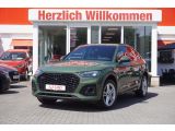 Audi Q5 bei Sportwagen.expert - Abbildung (2 / 15)