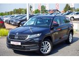 Skoda Kodiaq bei Sportwagen.expert - Abbildung (2 / 15)