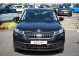 Skoda Kodiaq bei Sportwagen.expert - Abbildung (3 / 15)