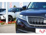 Skoda Kodiaq bei Sportwagen.expert - Abbildung (4 / 15)