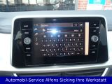 VW T-Roc bei Sportwagen.expert - Abbildung (13 / 15)