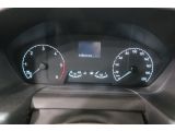 Ford CUSTOM 300 2.0 TDCI bei Sportwagen.expert - Abbildung (9 / 15)