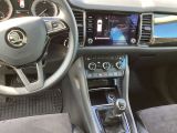 Skoda Kodiaq bei Sportwagen.expert - Abbildung (8 / 15)