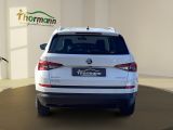 Skoda Kodiaq bei Sportwagen.expert - Abbildung (5 / 15)