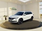 Skoda Kodiaq bei Sportwagen.expert - Abbildung (2 / 15)