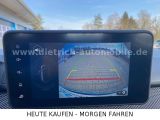Dacia Stepway bei Sportwagen.expert - Abbildung (13 / 15)