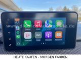 Dacia Stepway bei Sportwagen.expert - Abbildung (11 / 15)