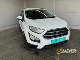 Ford EcoSport bei Sportwagen.expert - Abbildung (3 / 15)