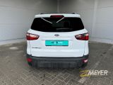 Ford EcoSport bei Sportwagen.expert - Abbildung (5 / 15)