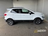 Ford EcoSport bei Sportwagen.expert - Abbildung (4 / 15)