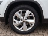 Skoda Kodiaq bei Sportwagen.expert - Abbildung (8 / 15)