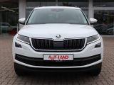 Skoda Kodiaq bei Sportwagen.expert - Abbildung (7 / 15)