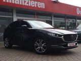 Mazda CX-30 bei Sportwagen.expert - Abbildung (6 / 15)