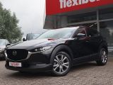 Mazda CX-30 bei Sportwagen.expert - Abbildung (2 / 15)