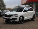 Skoda Karoq bei Sportwagen.expert - Abbildung (2 / 15)