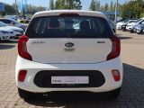 Kia Picanto bei Sportwagen.expert - Abbildung (6 / 15)