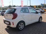 Kia Picanto bei Sportwagen.expert - Abbildung (7 / 15)