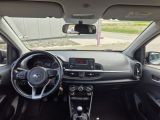 Kia Picanto bei Sportwagen.expert - Abbildung (6 / 6)