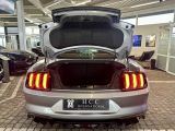 Ford Mustang bei Sportwagen.expert - Abbildung (9 / 10)