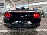 Ford Mustang bei Sportwagen.expert - Abbildung (5 / 10)