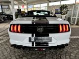 Ford Mustang bei Sportwagen.expert - Abbildung (6 / 10)