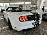 Ford Mustang bei Sportwagen.expert - Abbildung (5 / 10)