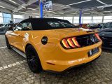 Ford Mustang bei Sportwagen.expert - Abbildung (9 / 10)