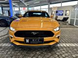 Ford Mustang bei Sportwagen.expert - Abbildung (2 / 10)