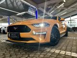 Ford Mustang bei Sportwagen.expert - Abbildung (10 / 10)