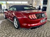 Ford Mustang bei Sportwagen.expert - Abbildung (6 / 10)