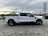 Ford F bei Sportwagen.expert - Abbildung (4 / 10)