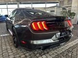 Ford Mustang bei Sportwagen.expert - Abbildung (8 / 10)