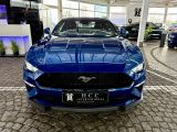 Ford Mustang bei Sportwagen.expert - Abbildung (6 / 10)