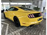 Ford Mustang bei Sportwagen.expert - Abbildung (7 / 10)
