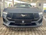Ford Mustang bei Sportwagen.expert - Abbildung (2 / 10)