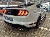 Ford Mustang bei Sportwagen.expert - Abbildung (5 / 10)