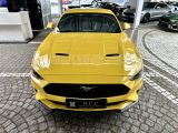 Ford Mustang bei Sportwagen.expert - Abbildung (2 / 10)