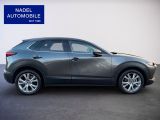Mazda CX-30 bei Sportwagen.expert - Abbildung (8 / 15)